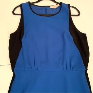 Ann Taylor LOFT Sleeveless Dress 12